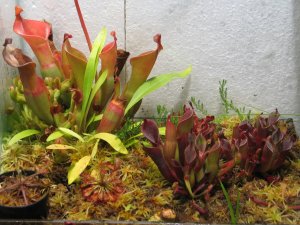 20071005-05s.jpg
